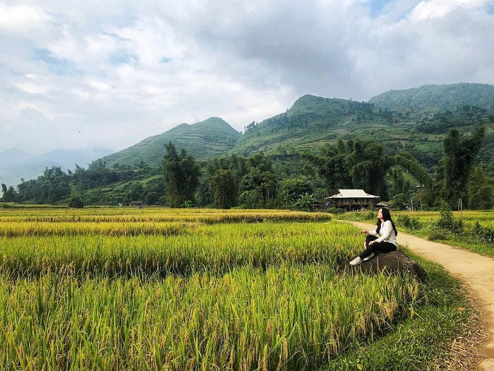 alt text: Cảnh đẹp Tú Lệ