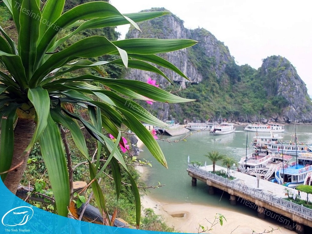 Bản Cát Cát Sapa