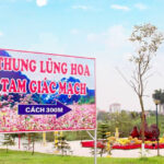 Thung lũng hoa tam giác mạch, điểm check – in hấp dẫn tại thành phố Việt Trì