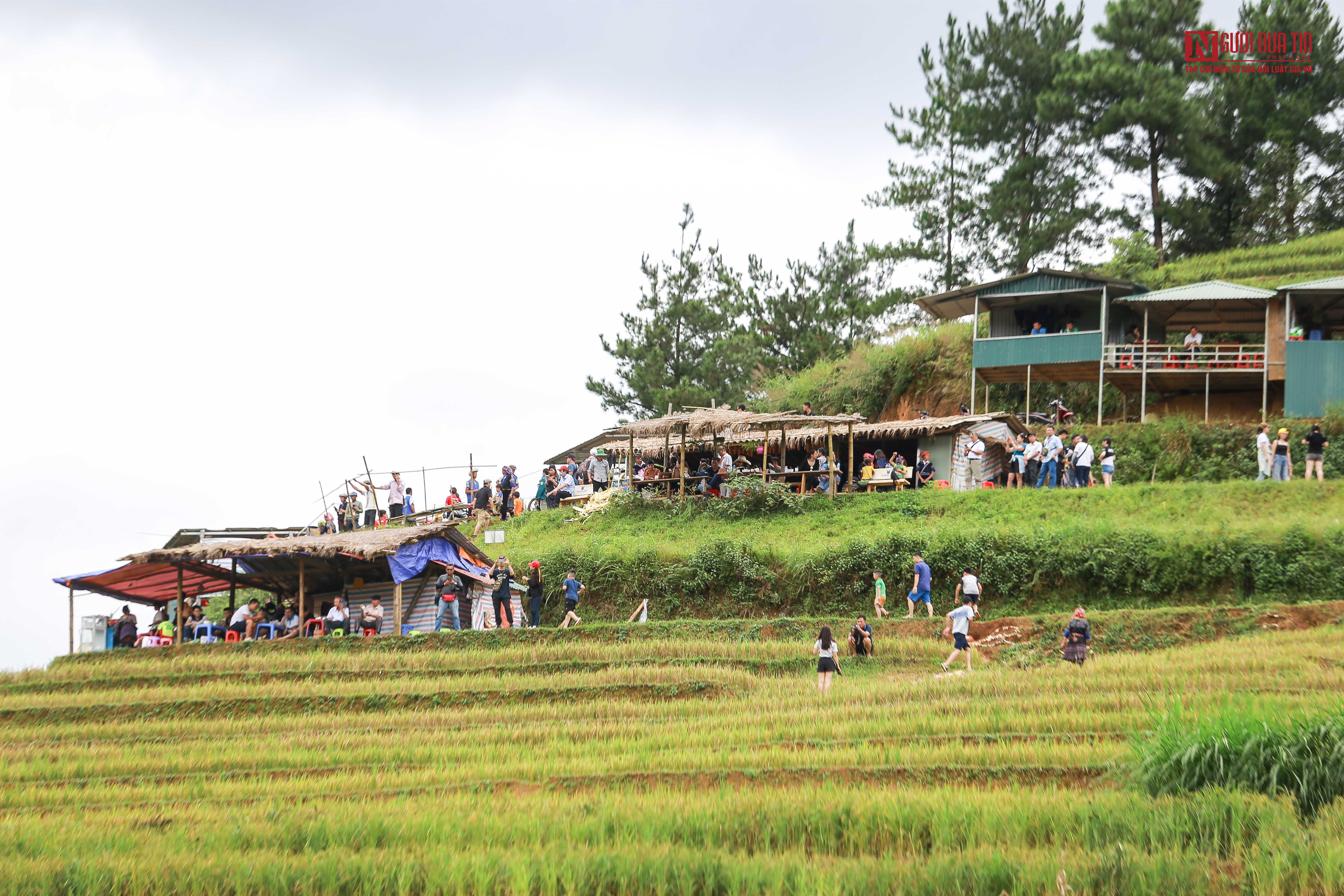 Các em bé vùng cao tươi cười bên ruộng bậc thang