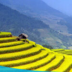 Kinh nghiệm du lịch Mù Cang Chải bạn nên biết