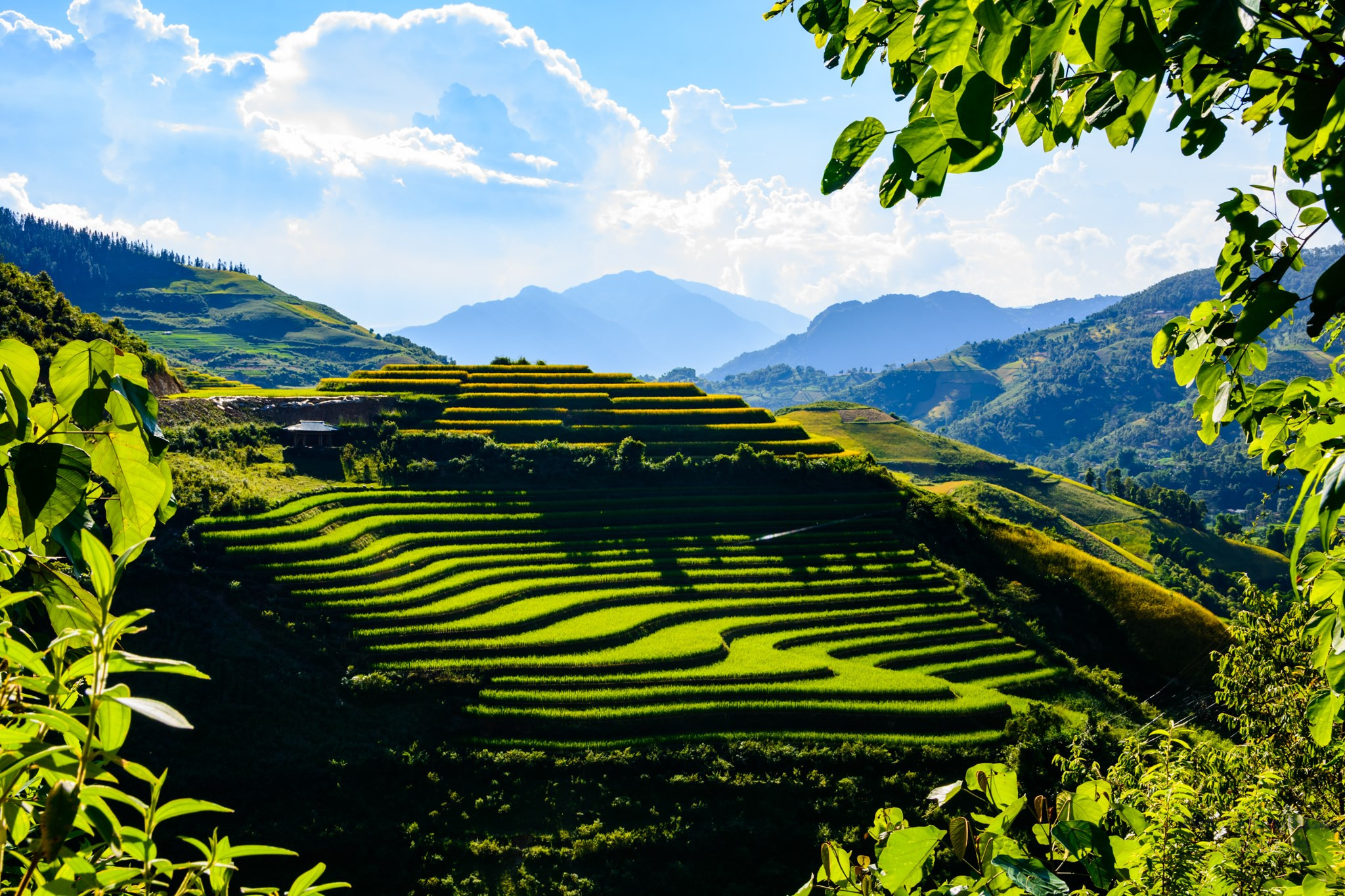 Cảnh sắc Tủa Chùa mùa thu