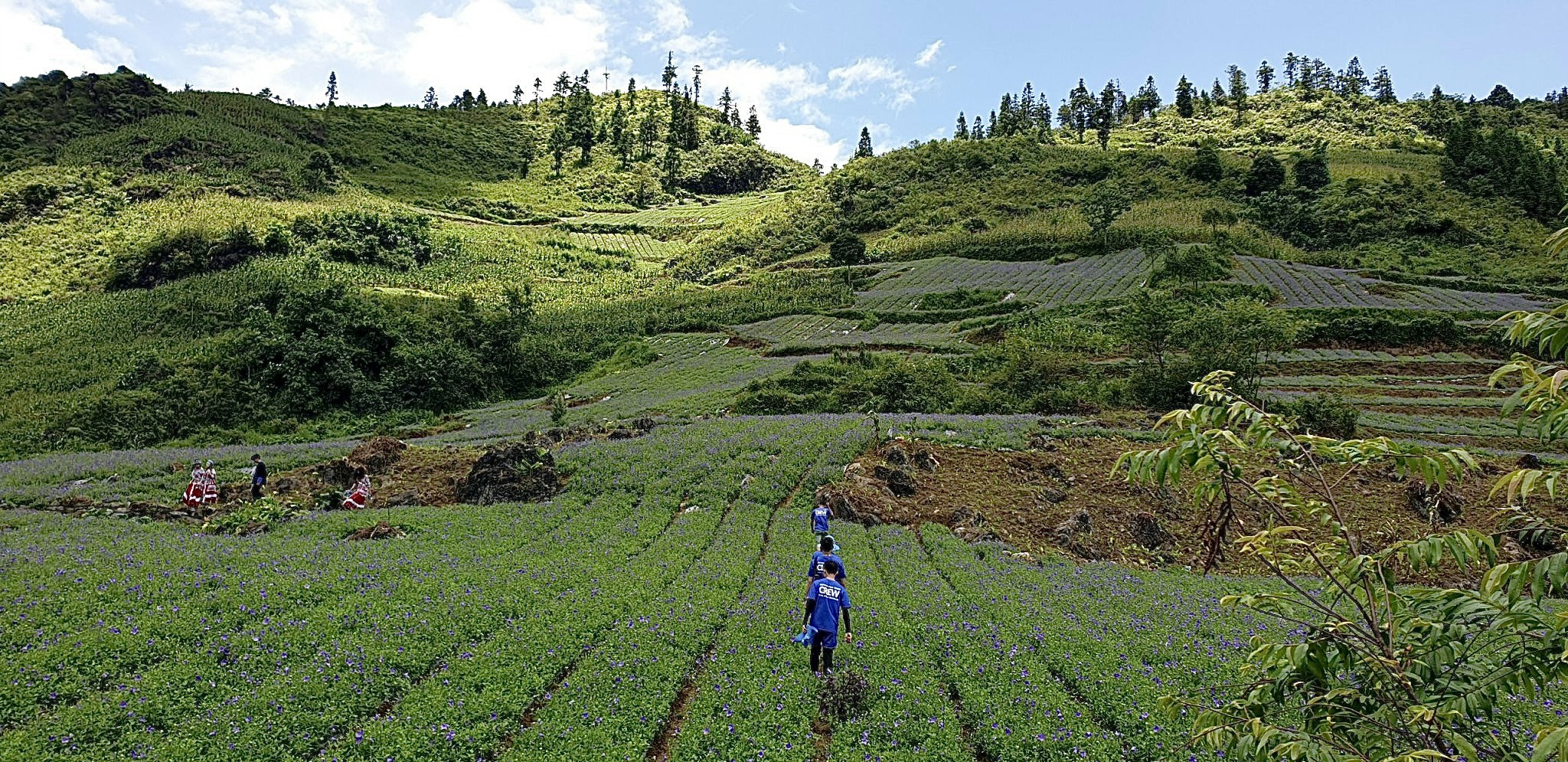 Chạy bộ trong Triathlon Bắc Hà