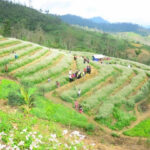 Pha Đin – món quà vô giá thiên nhiên ban tặng cho Tây Bắc