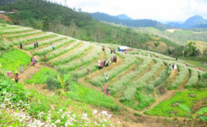 Pha Đin – món quà vô giá thiên nhiên ban tặng cho Tây Bắc