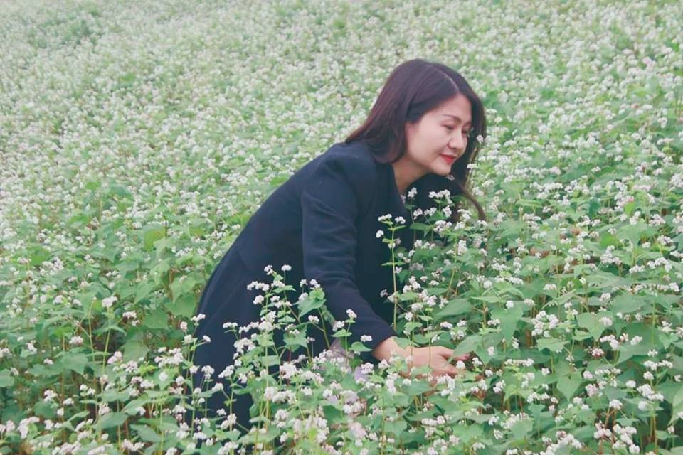 Du khách chụp ảnh với hoa tam giác mạch