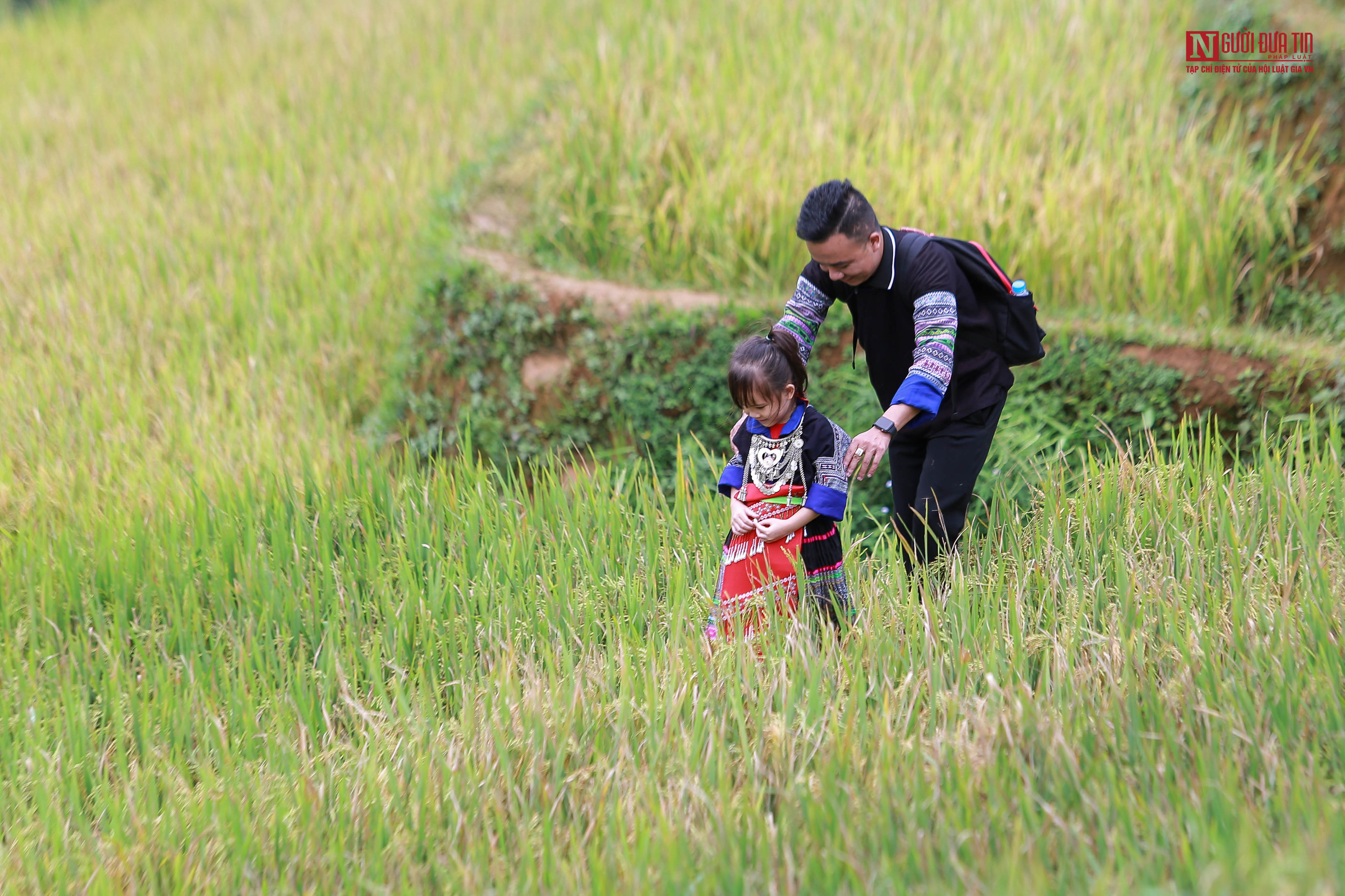 Du khách cùng nhau tham quan đồi mâm xôi