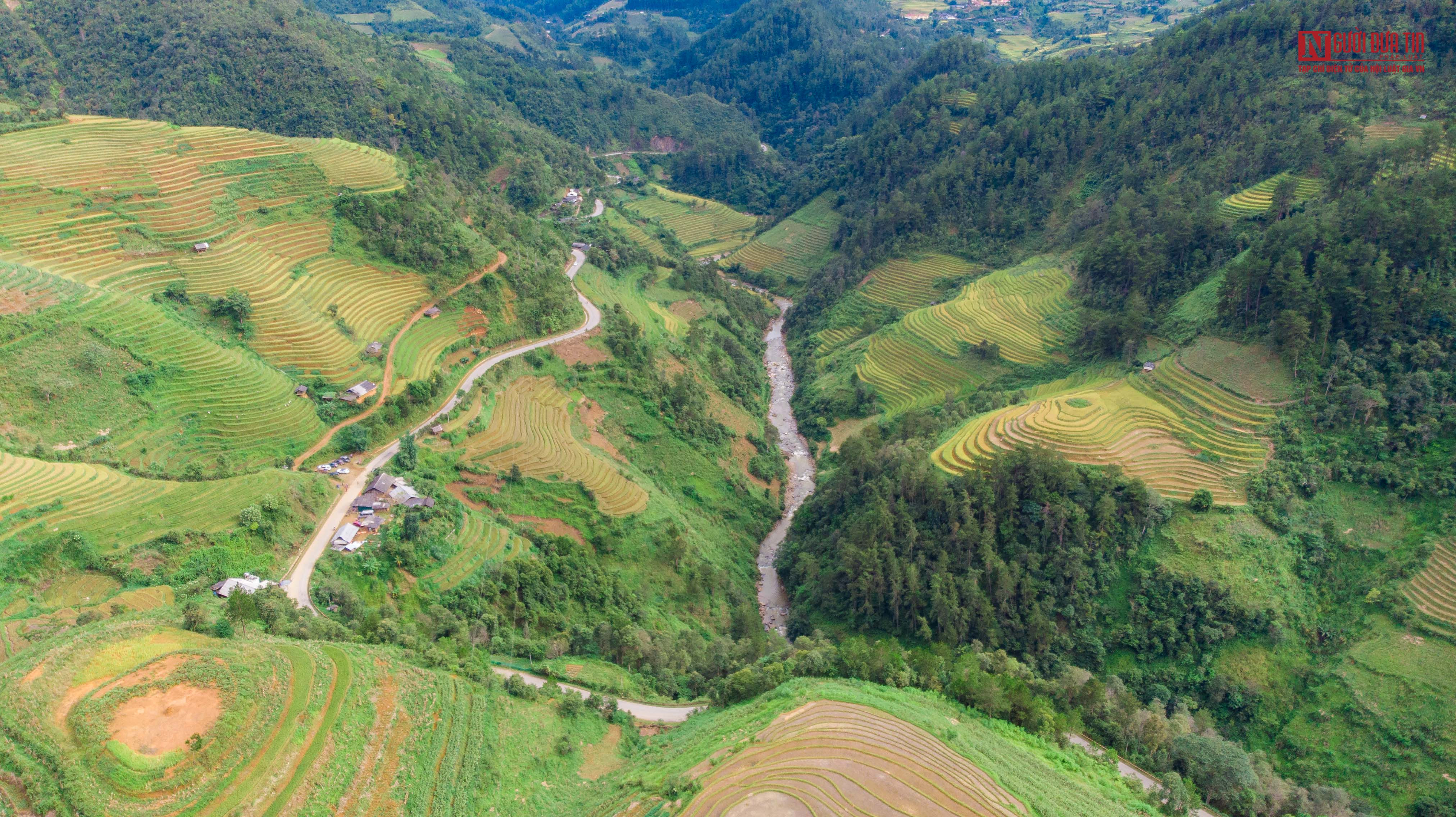 Du khách thích thú chụp ảnh tại đồi mâm xôi