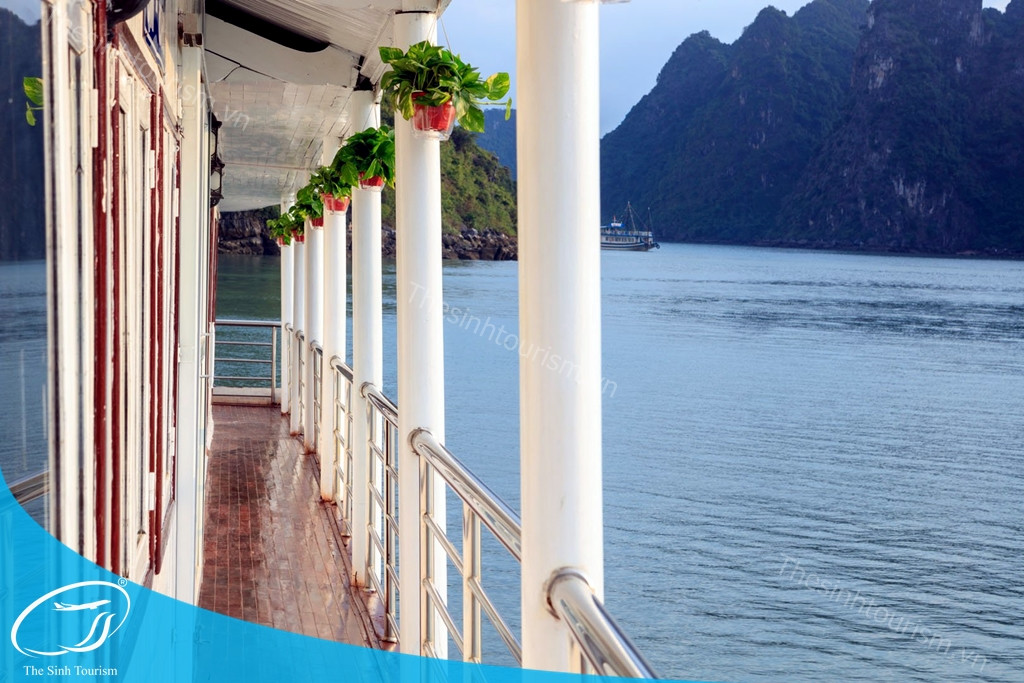 Du thuyền Cozy Classic