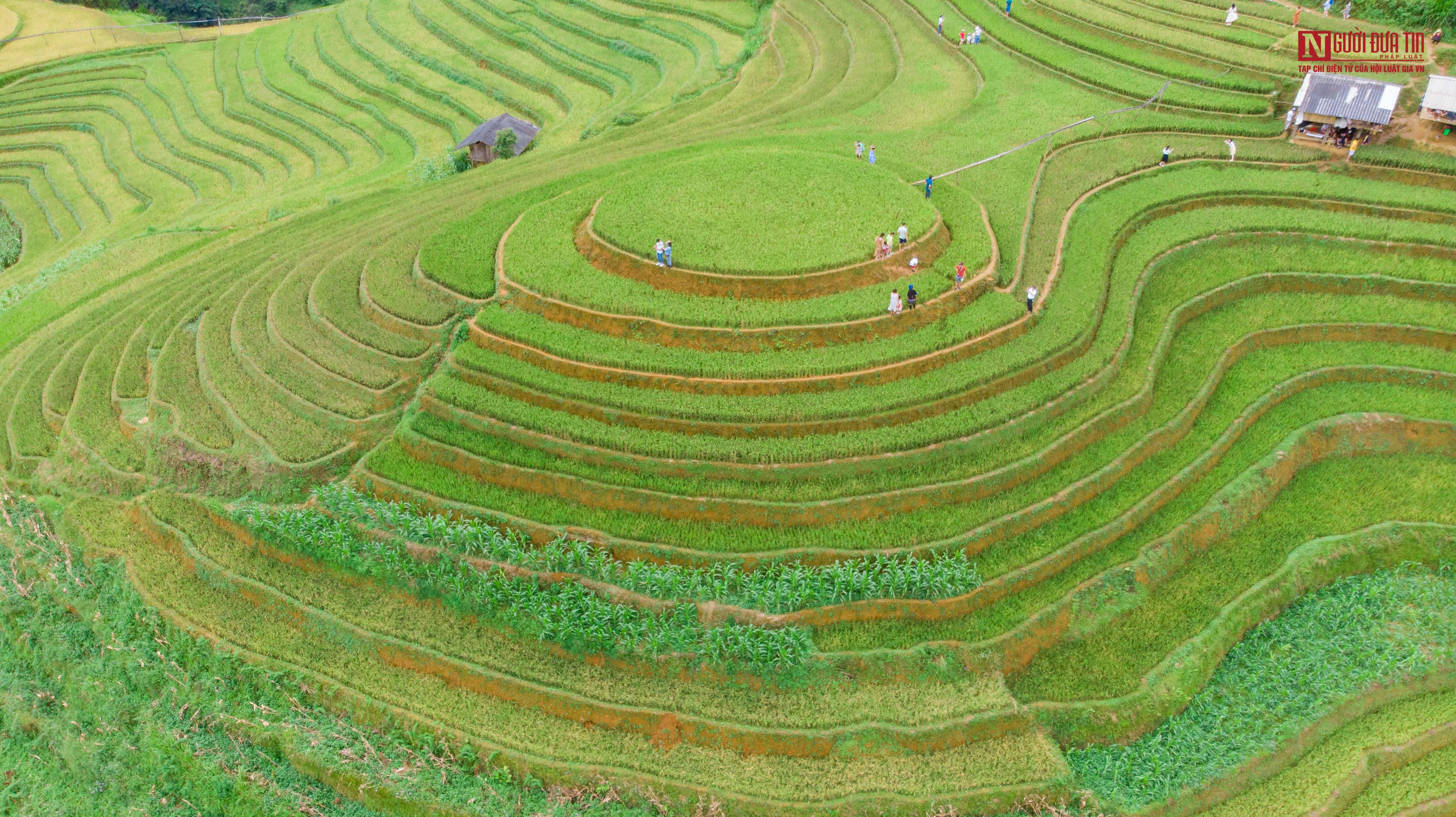 Đường đi lên đồi mâm xôi La Pán Tẩn