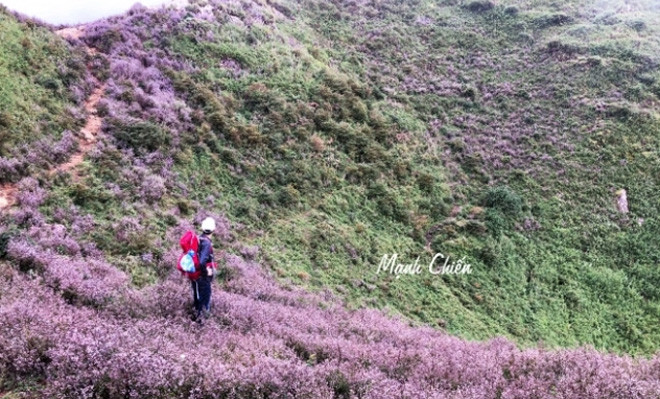 Khung cảnh thiên nhiên hùng vĩ nhìn từ đỉnh Tà Chì Nhù