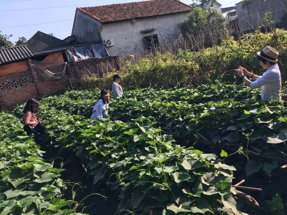 Làng rau Tân Đức