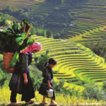 Măng sặt Yên Bái – Du khách ăn một lần nhớ mãi không quên