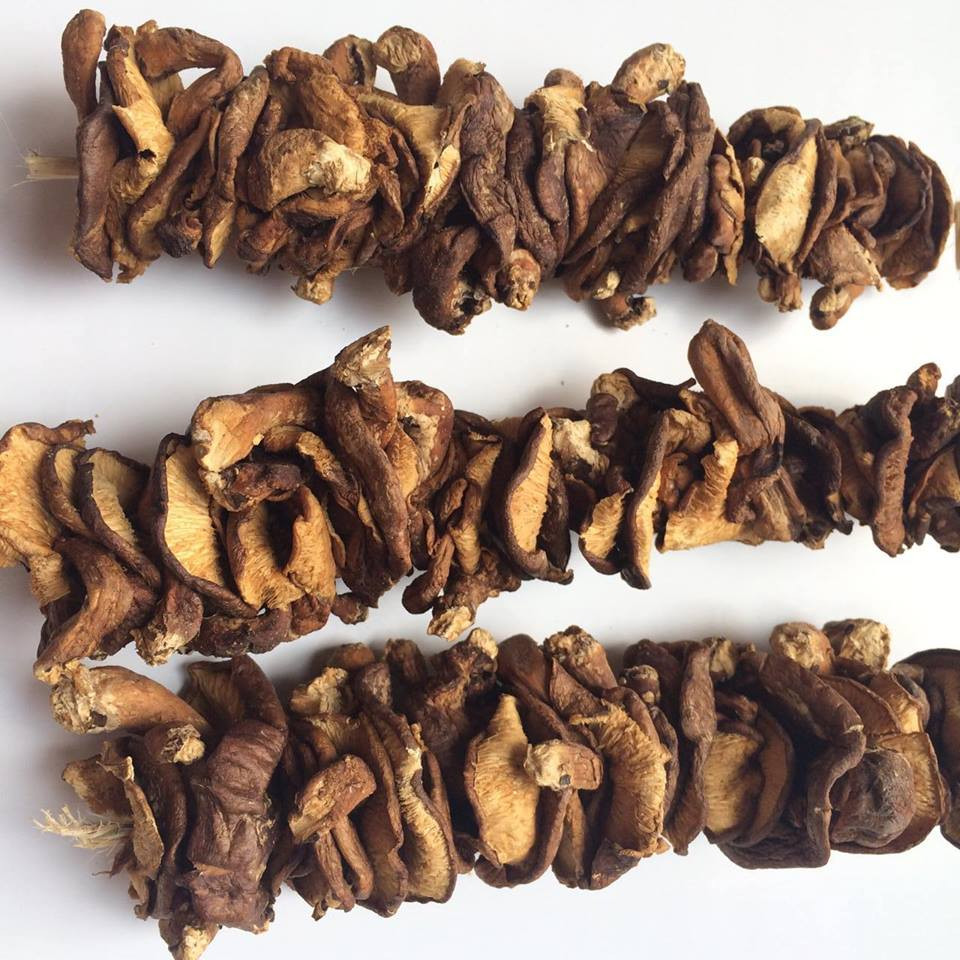 Nấm đen Đặc sản Sapa 