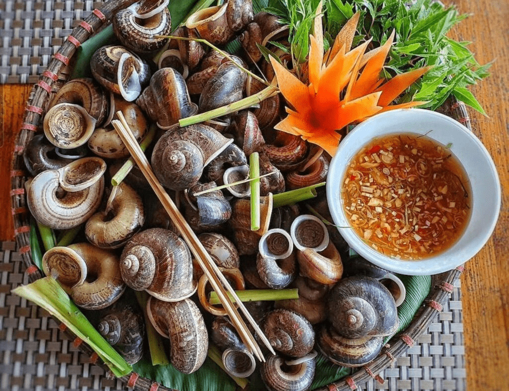 Ốc đá Suối Bàng