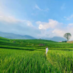 Du lịch Sa Pa tận hưởng mùa hè tuyệt vời của miền Bắc Việt Nam