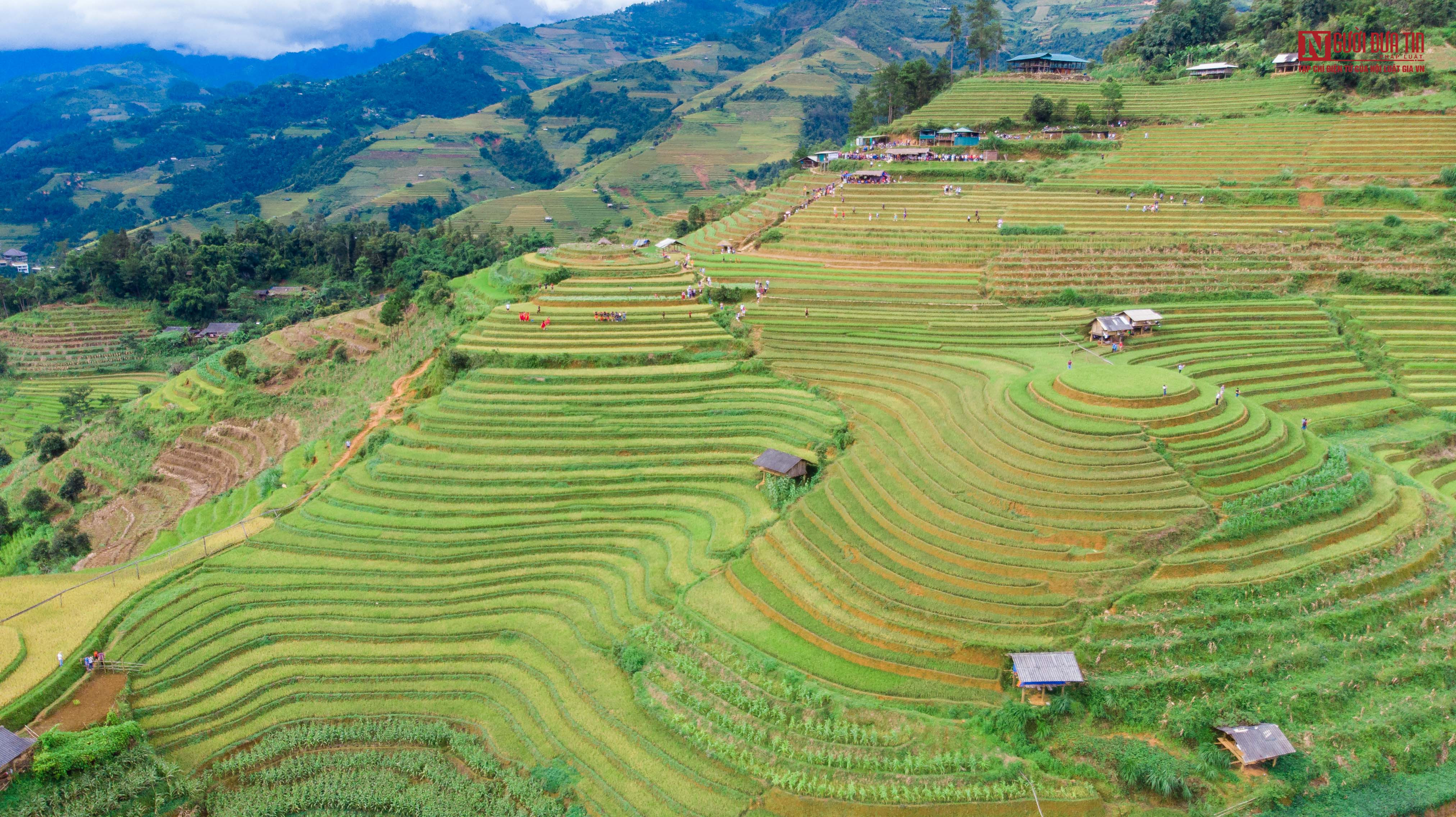 Ruộng bậc thang mùa lúa chín ở Mù Cang Chải