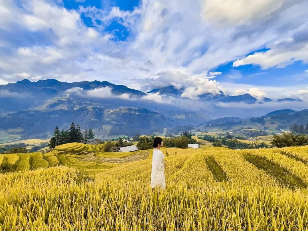 Ruộng bậc thang Sapa