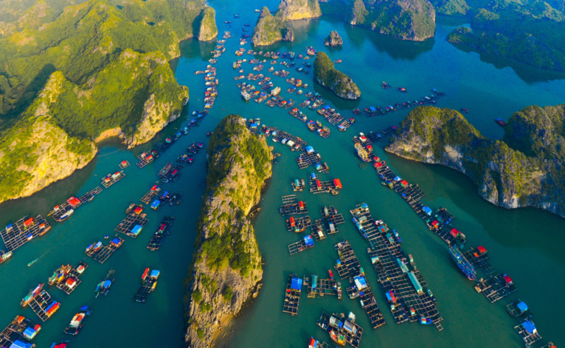 Ruộng bậc thang Tây Bắc