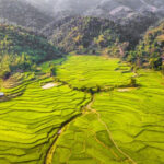 Lên Tà Lèng – ngắm ruộng bậc thang uốn lượn