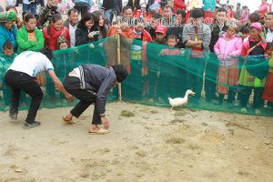 …thi bịt mắt bắt vịt