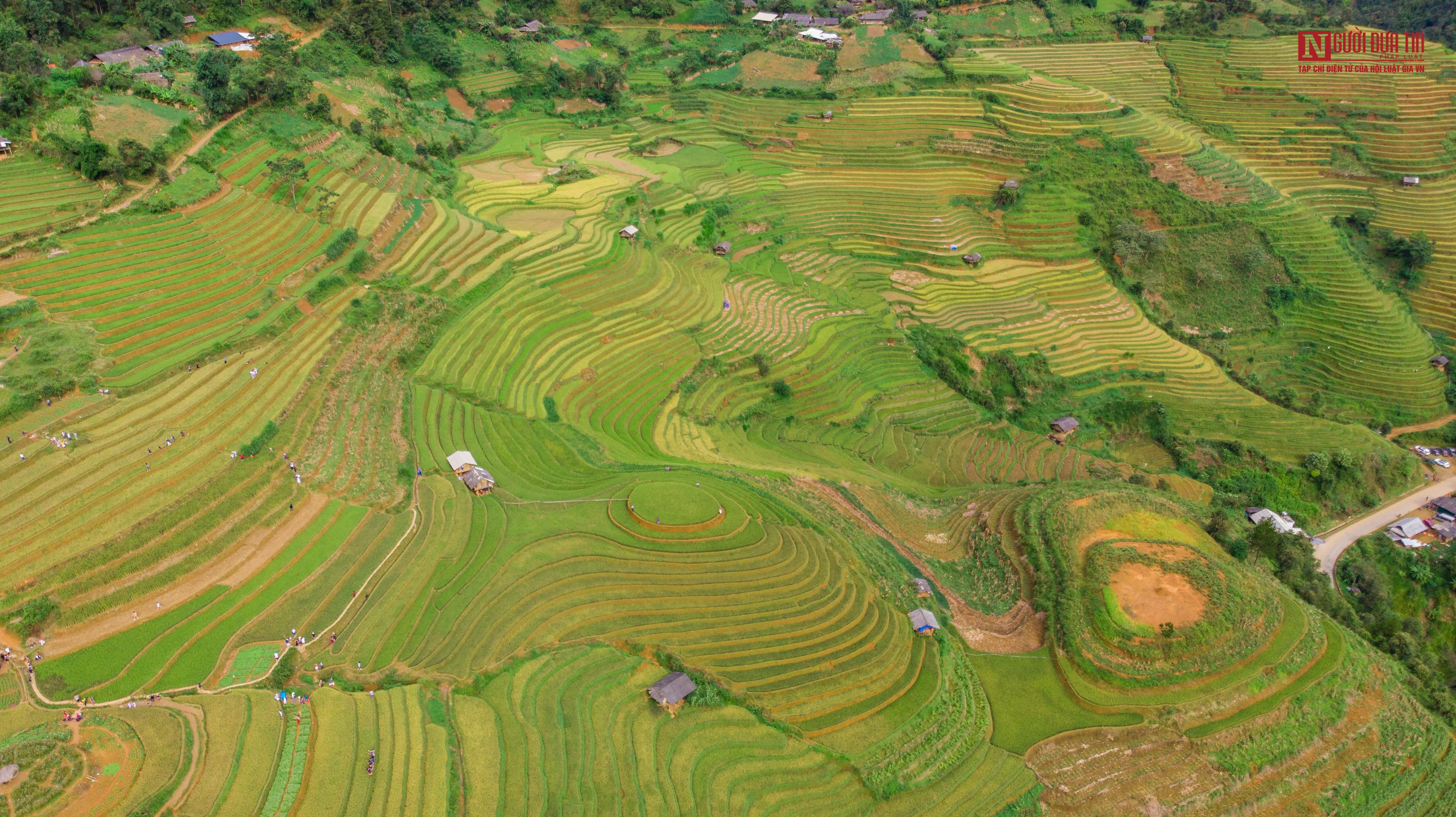 Vẻ đẹp ruộng bậc thang uốn lượn ở Mù Cang Chải