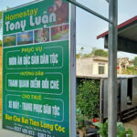 Homestay Tony Luận – điểm lưu trú nổi bật tại đồi chè Long Cốc