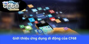Lau Camping Trạm Tấu – Thiên đường nghỉ dưỡng, săn mây